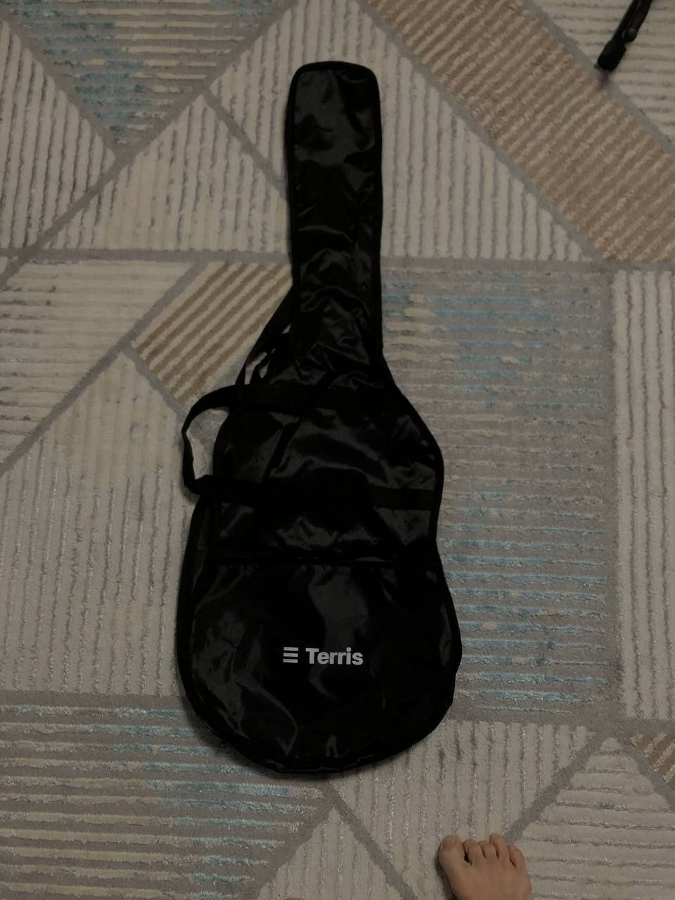 Электро гитара Terris Stratocaster