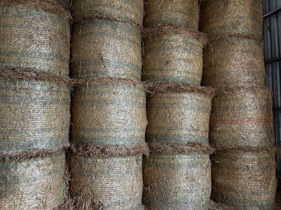 Baloți rotunzi de paie