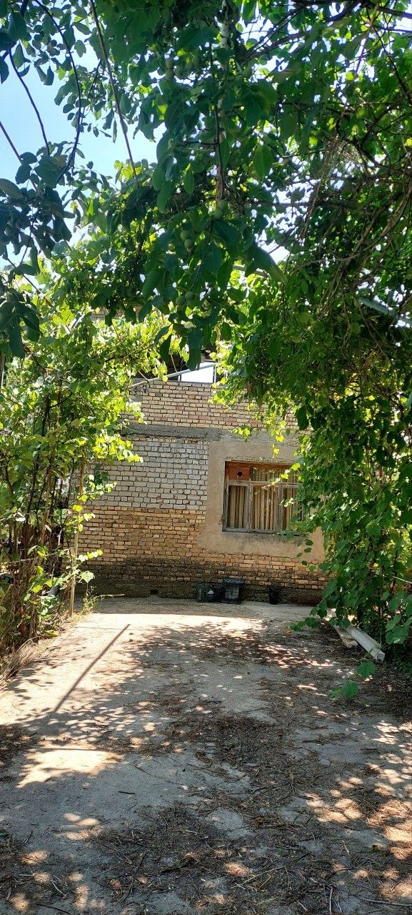 Дача сотилади 30 сотих. Паркент тумани