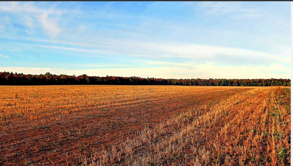 Продам сельскохозяйственную землю, 665 га пашни