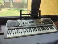 Orga electronica