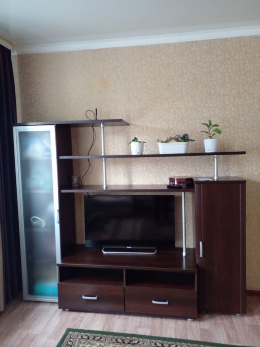 SONY Телевизор 109см