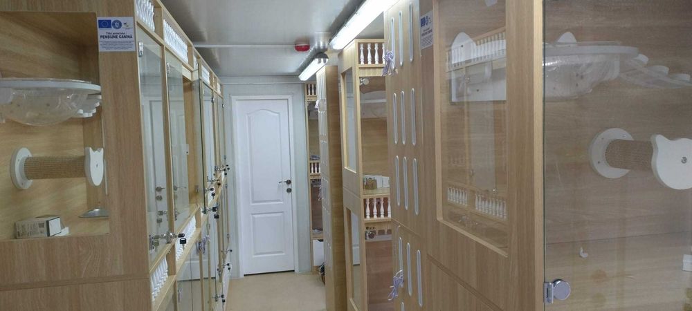 Pet-hotel, 50% din cost, oriunde in tara, nou, modern, plata flexibila