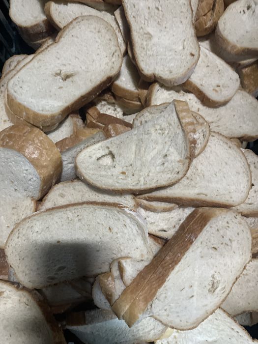 Paine uscata (rebut)