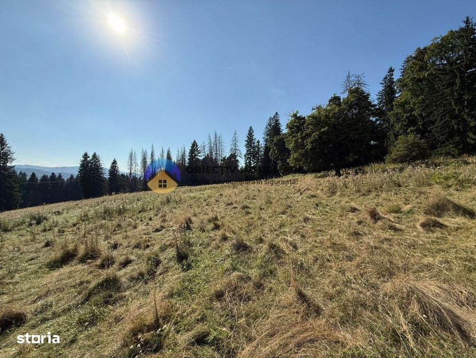 Teren de vanzare 5000 mp – Piatra Neamt