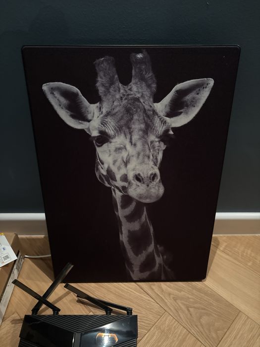 2x Sonos Symfonisk Frame