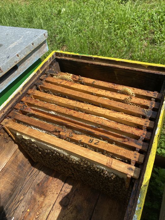 Cutii stupi stare foarte buna