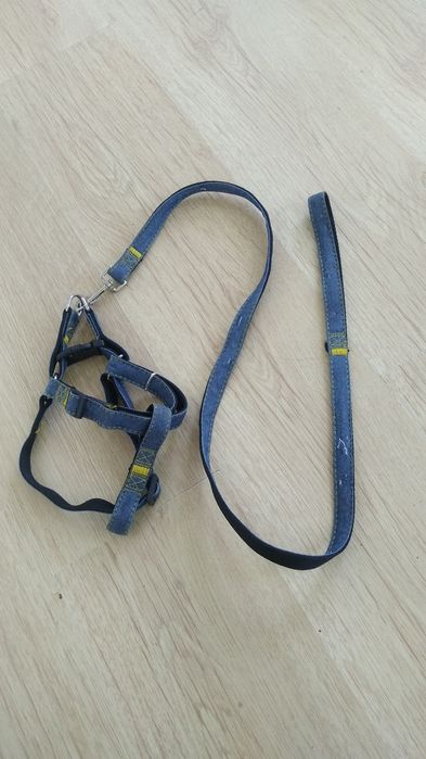 Шлейка, поводок для собаки ошейник.