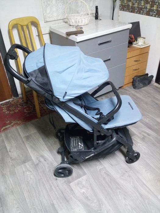 Прогулочная коляска фирмы Easywalker