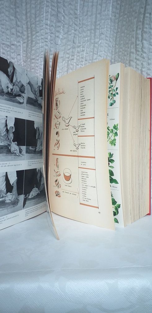 Carte de bucate, manual de artă culinară  "La grande cucina"