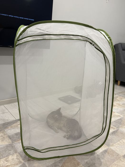 Сушилка - манеж для радных целей