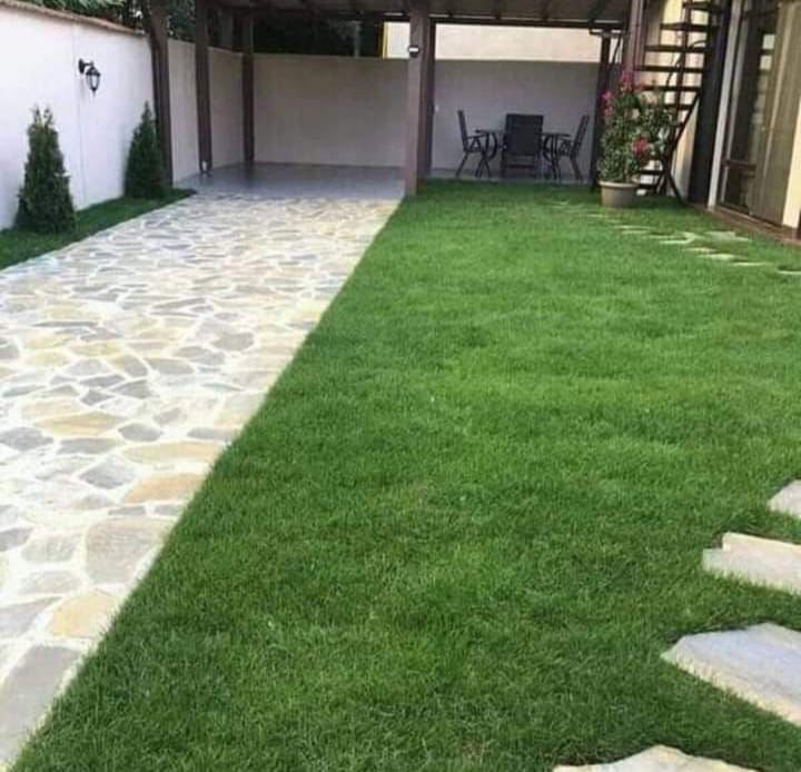 Gazon rulou natural