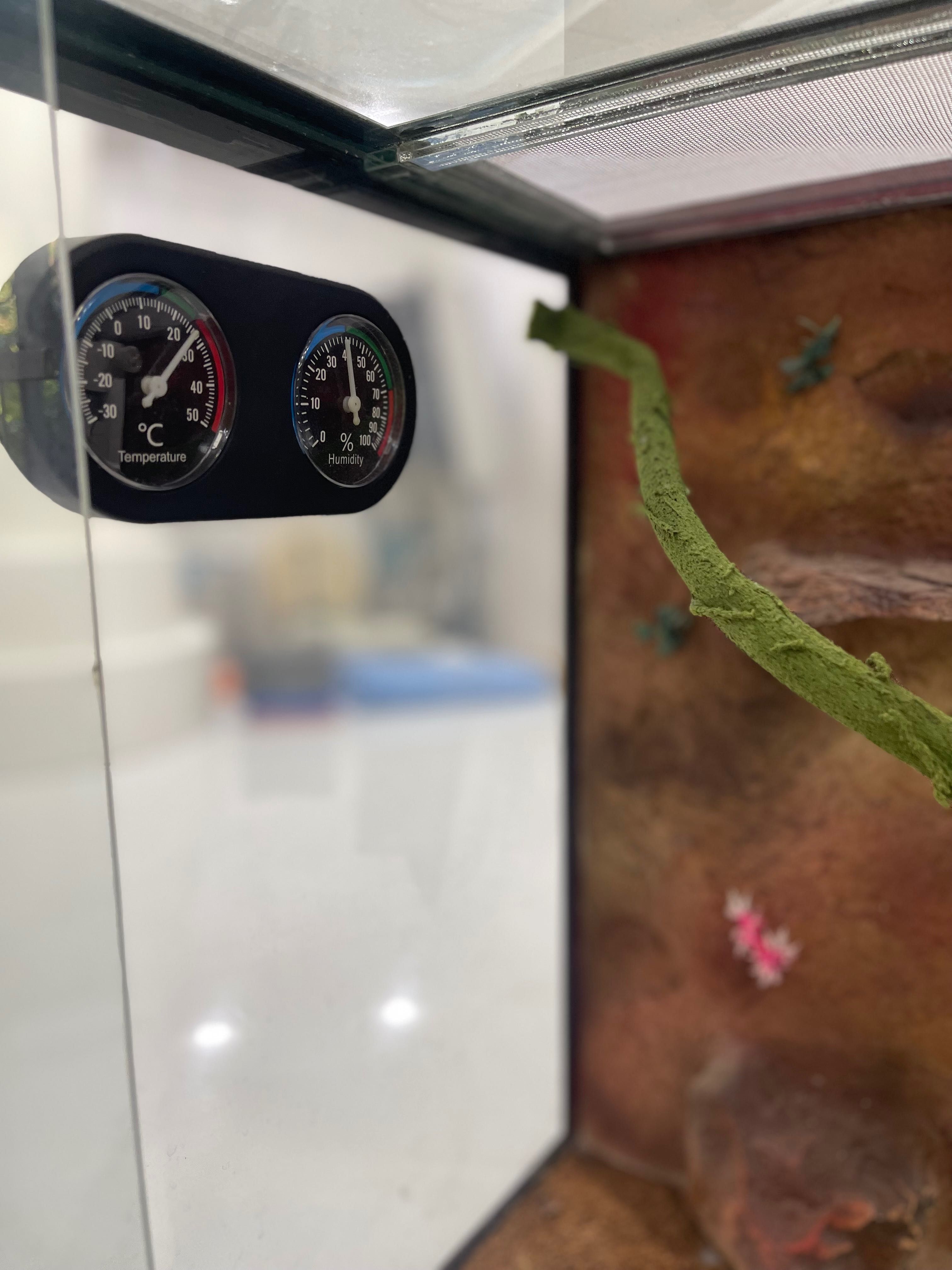Terrarium | Террариум