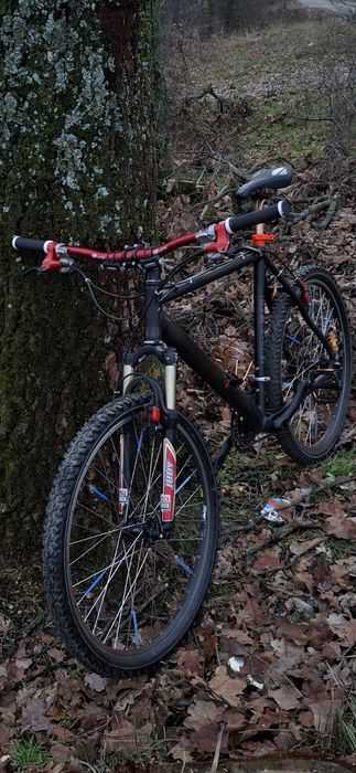 Vand Bicicletă Red Bull