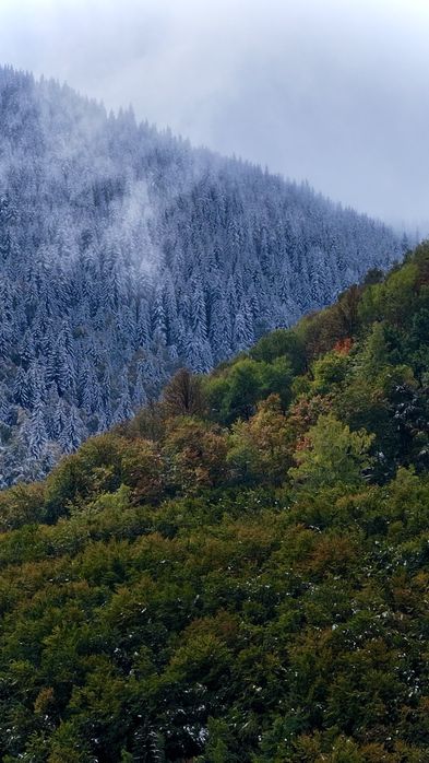 Професионално заснемане с ДРОН