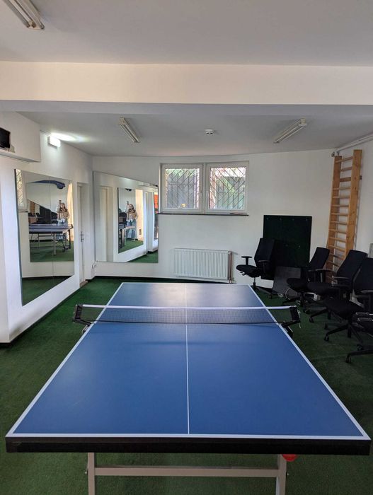 Masa Ping-Pong/prezinta un defect