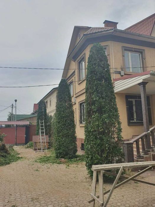 Обрезка деревьев. Формировка туи, ели. Стрижка живой изгороди.