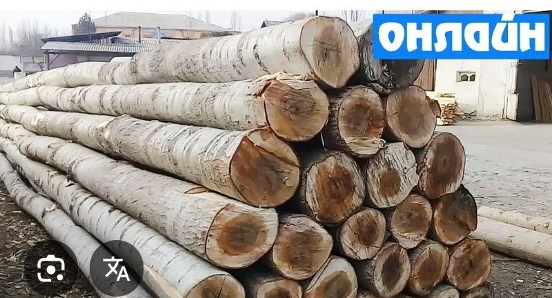 Терак бор сотилади срочно