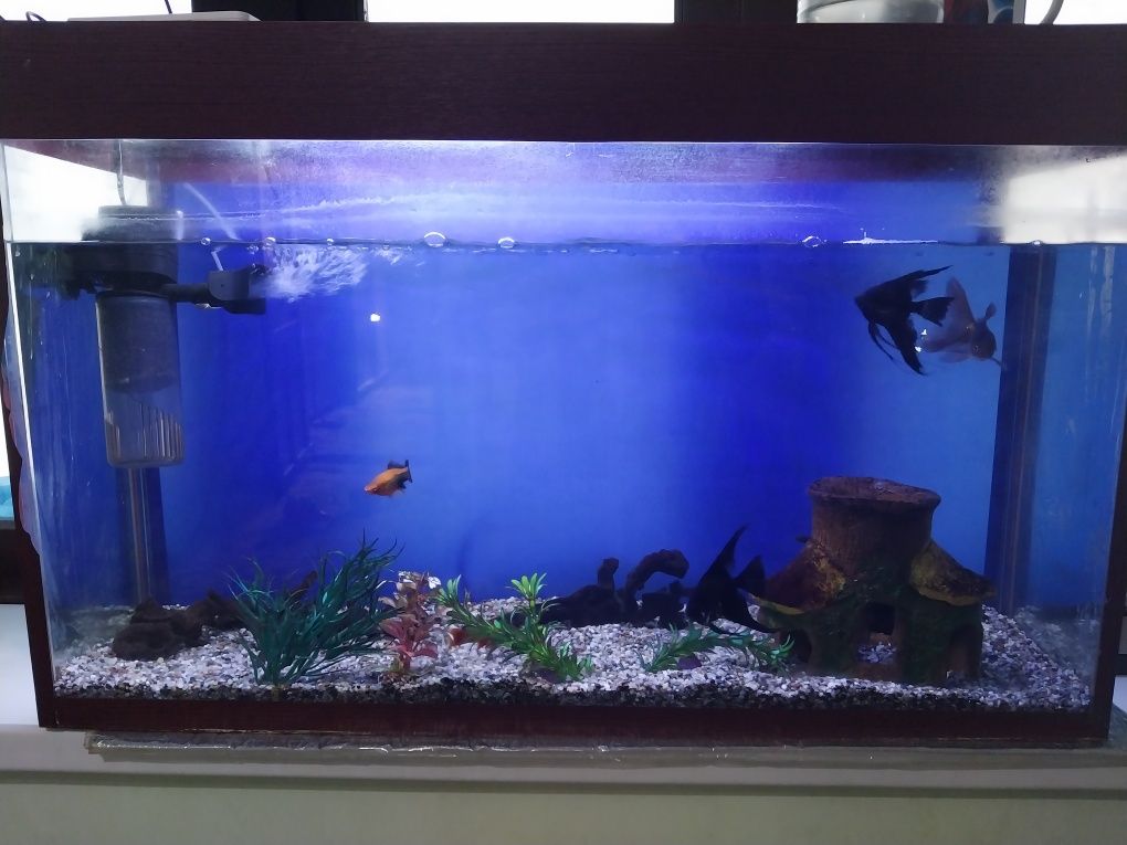 Akvarium 100 litr.