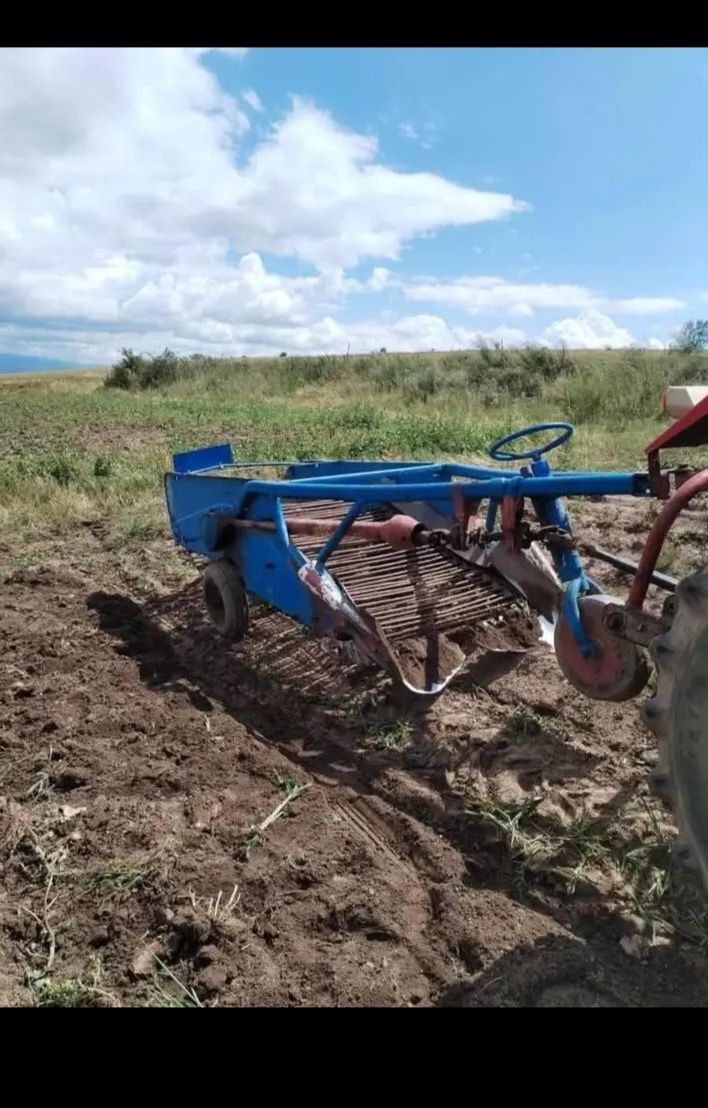 Semănător Cartof