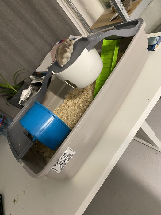 Cusca de hamsteri cu tot cu hamster