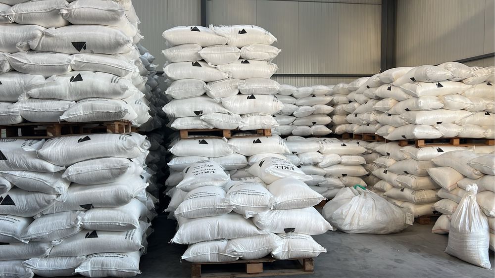 Oferta seminte porumb si floare