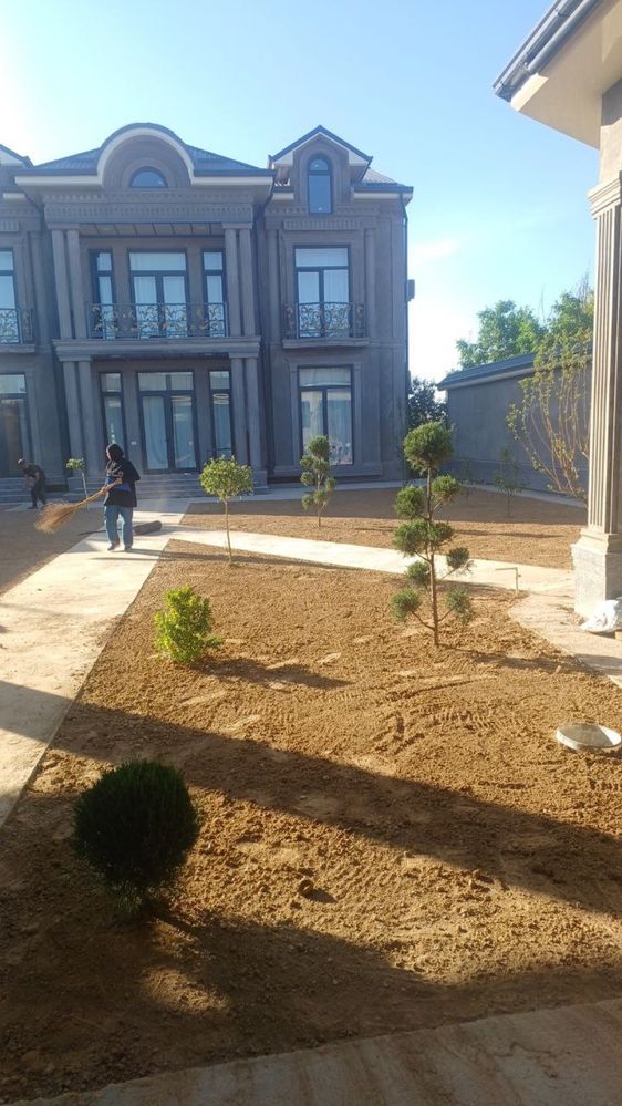 Yevro gazon sifatli va arzon
