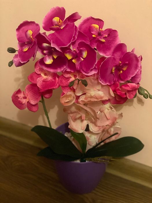 Орхидеи латексни