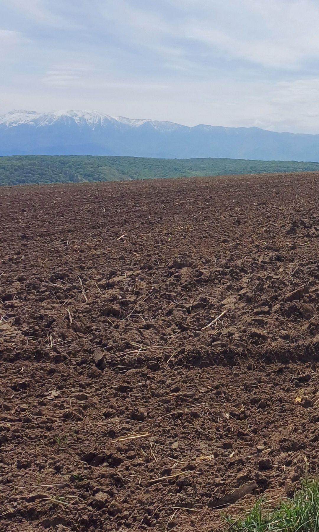 Teren extravilan de vânzare zona Daia