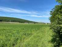 Vand teren benzinarie/servicii langa autostrada la Apoldu De Jos