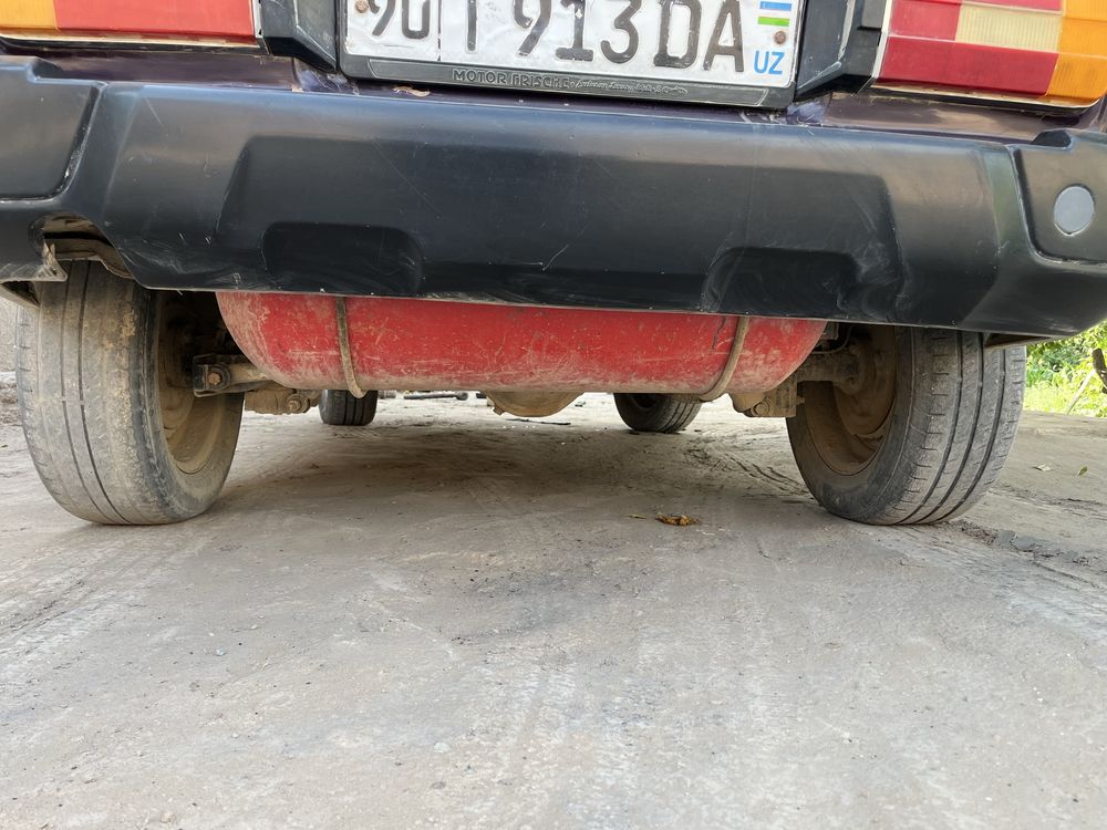 Niva pryamoy qordon
