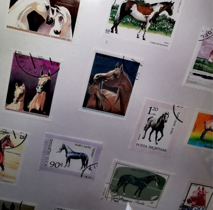 Картина от пощенски марки 17 бр. коне в бяла рамка 20,5 х 28,5 х 2 см