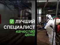 Дезинфекция. Результат 100%. Гарантия год!