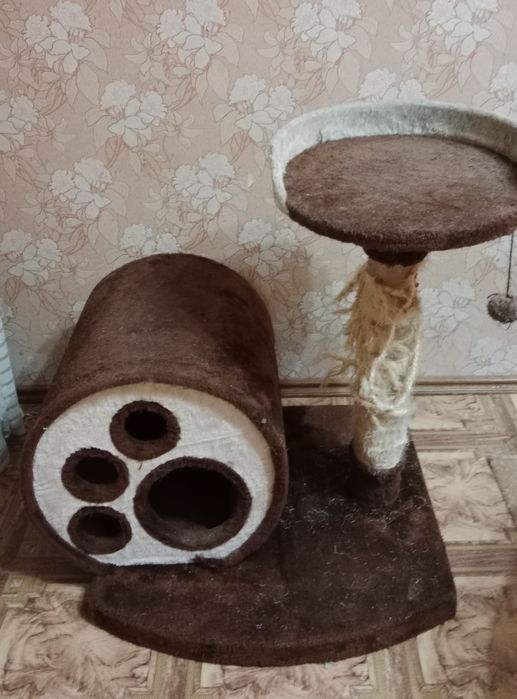 Когтеточка  с домиком для кошкек