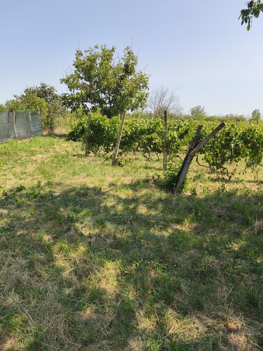 Intravilan de costruit Cimpineanca/ Focsani