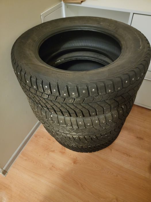 Шины зимние (шипованные)