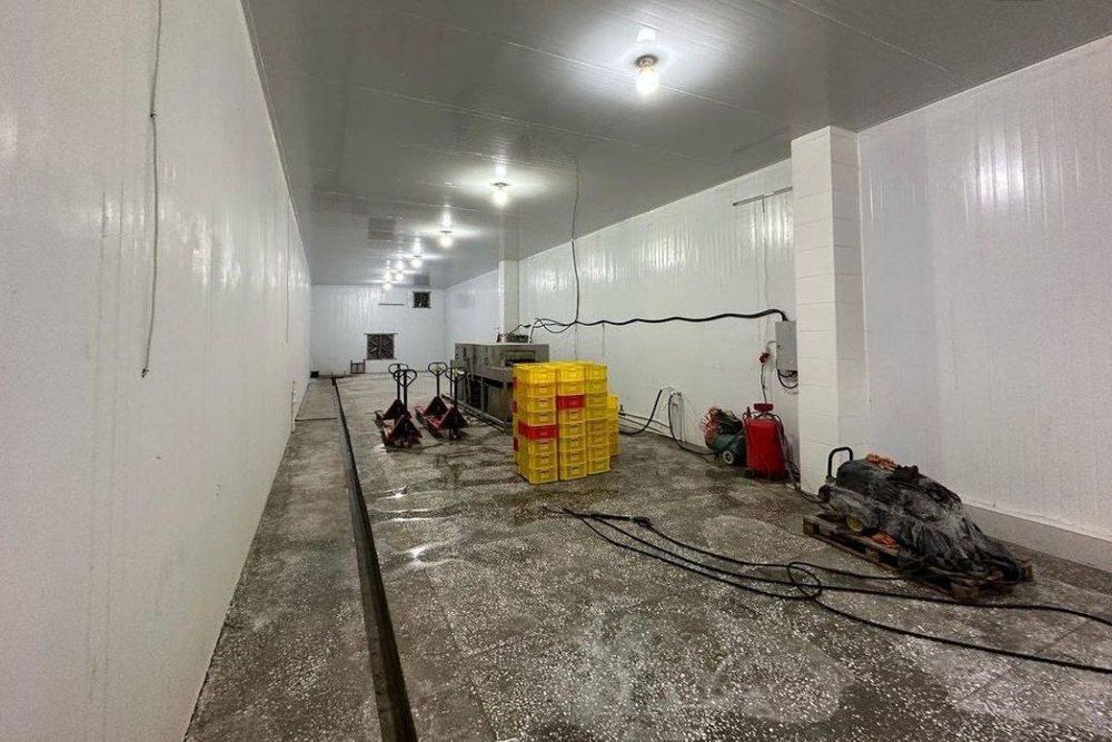 Продаётся 5 000 м² промхолодильник.