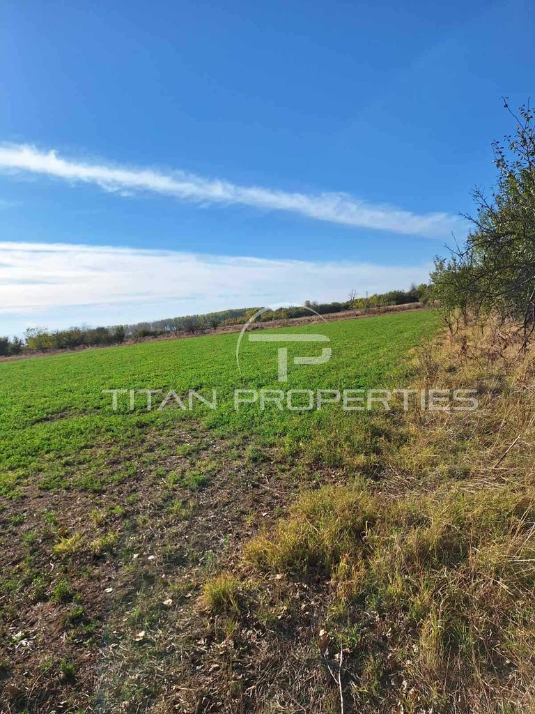 Продава се Парцел в с. Цалапица, Област Пловдив - 4755 кв.м за 9 €/кв.м - Снимка #2