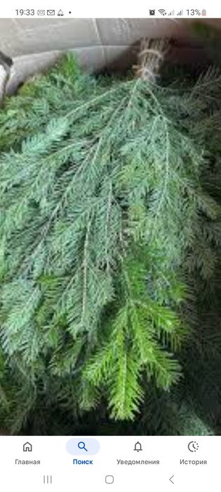 Веники для бани ,берёзовый, берёза пихта, пихта