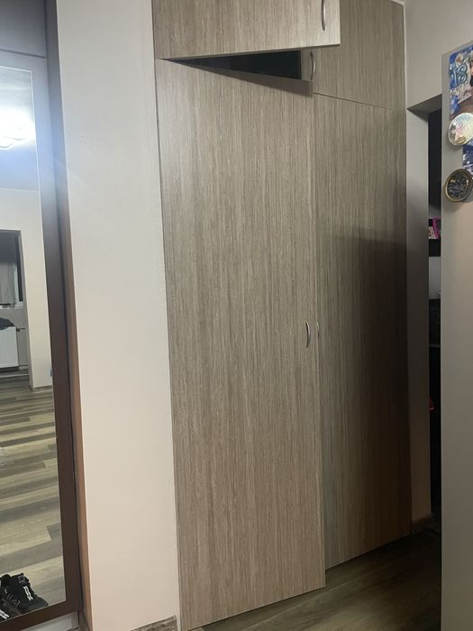 Usi din pal gri pentru debarale sau alte spatii