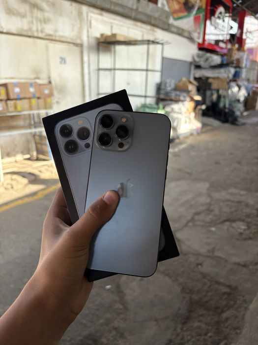 iPhone 13 pro max ideal