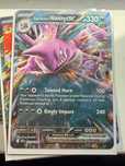 Pokémon destined rivals