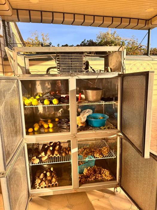 Xolodilnik 4 talik biznes qiladiganlar uchun