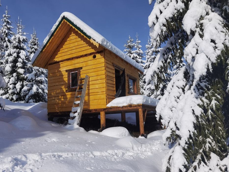Teren intravilan 3ha, cu 2 cabane si panorama superba