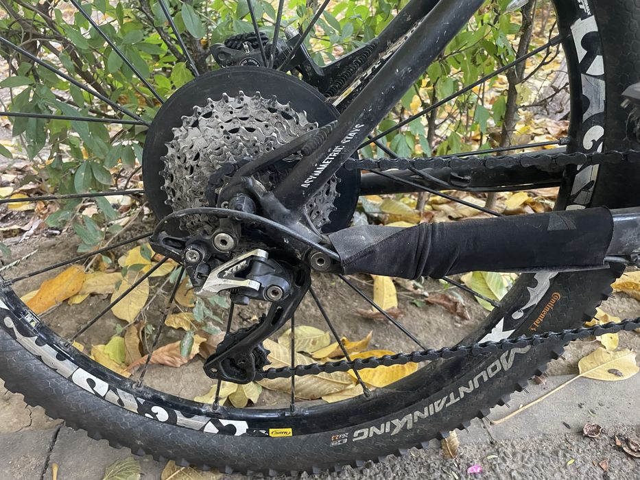 ‼️‼️ URGENT ‼️‼️ Canyon Nerve XC