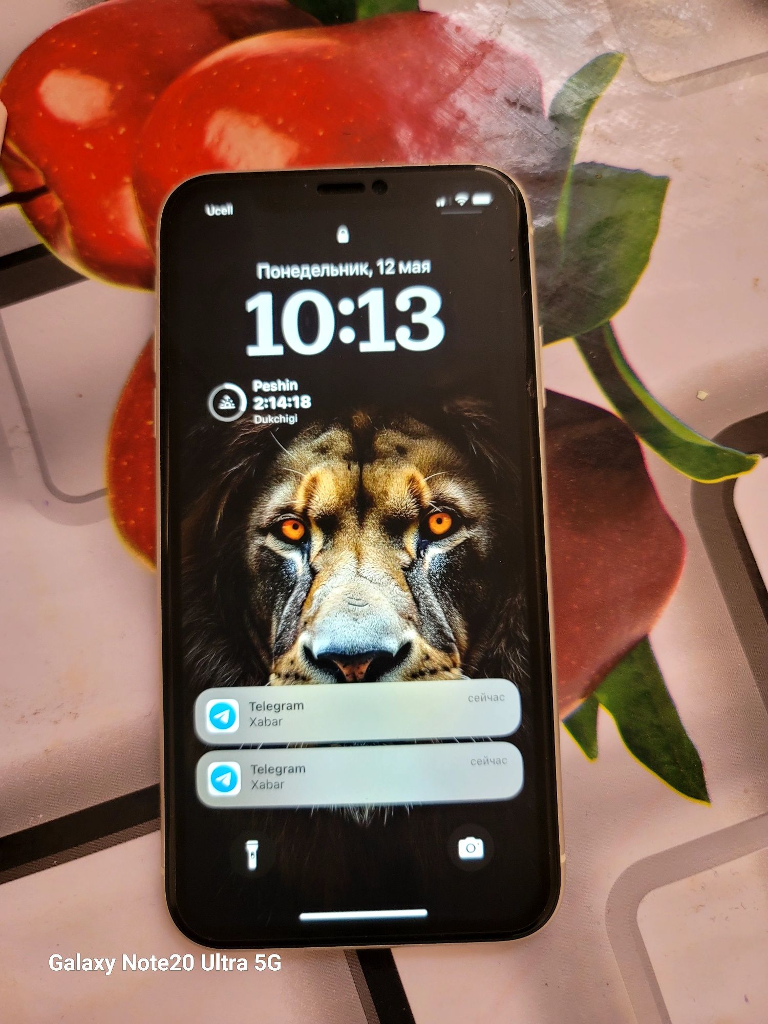 Iphone 11 holati yaxshi