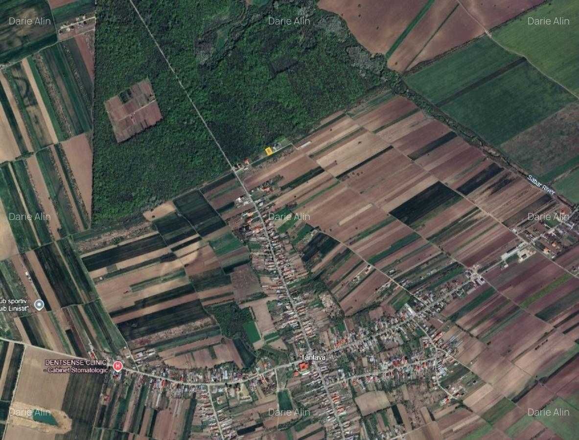 Teren 600 mp lângă pădure, 18 m deschidere, Tantava – Giurgiu