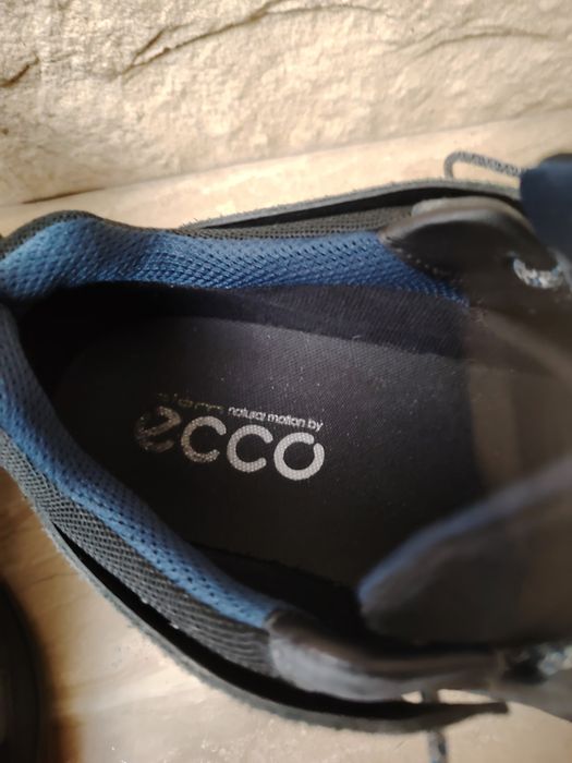 Ecco Biom Goretex 41