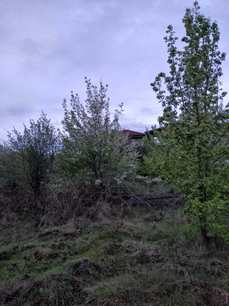 Продава се Парцел в Варна, Левски - 712 кв.м за 92 €/кв.м - Снимка #1