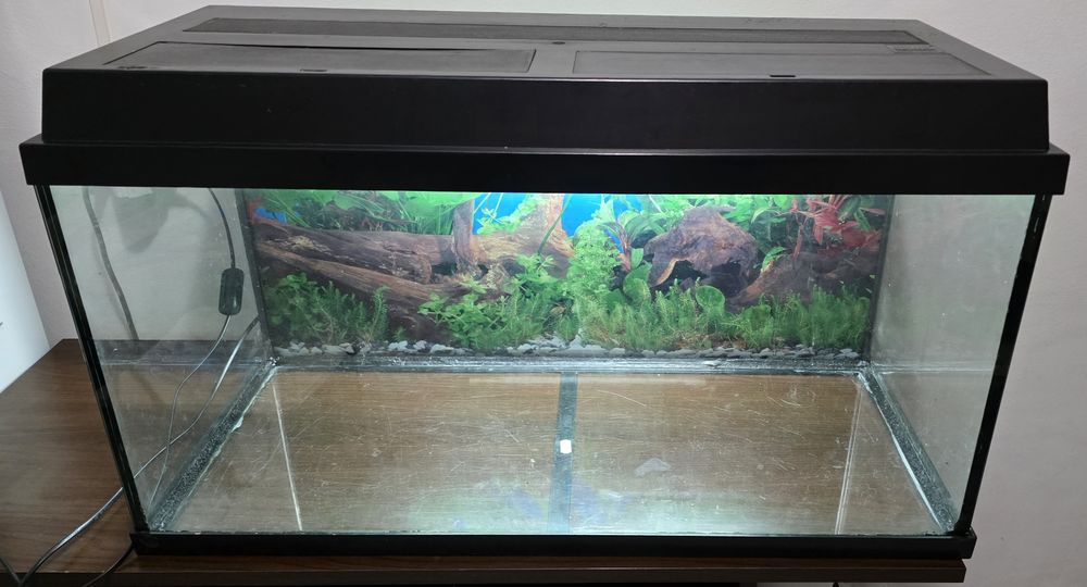 Vand Acvariu 112 l cu lampa led
